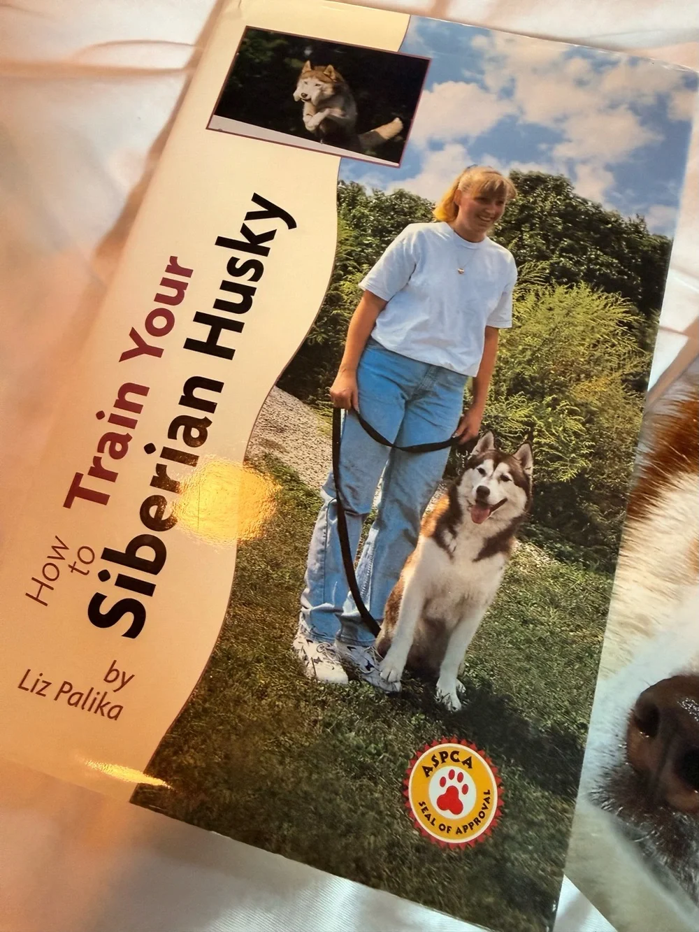 Siberian Husky Books and Husky Beanie Baby